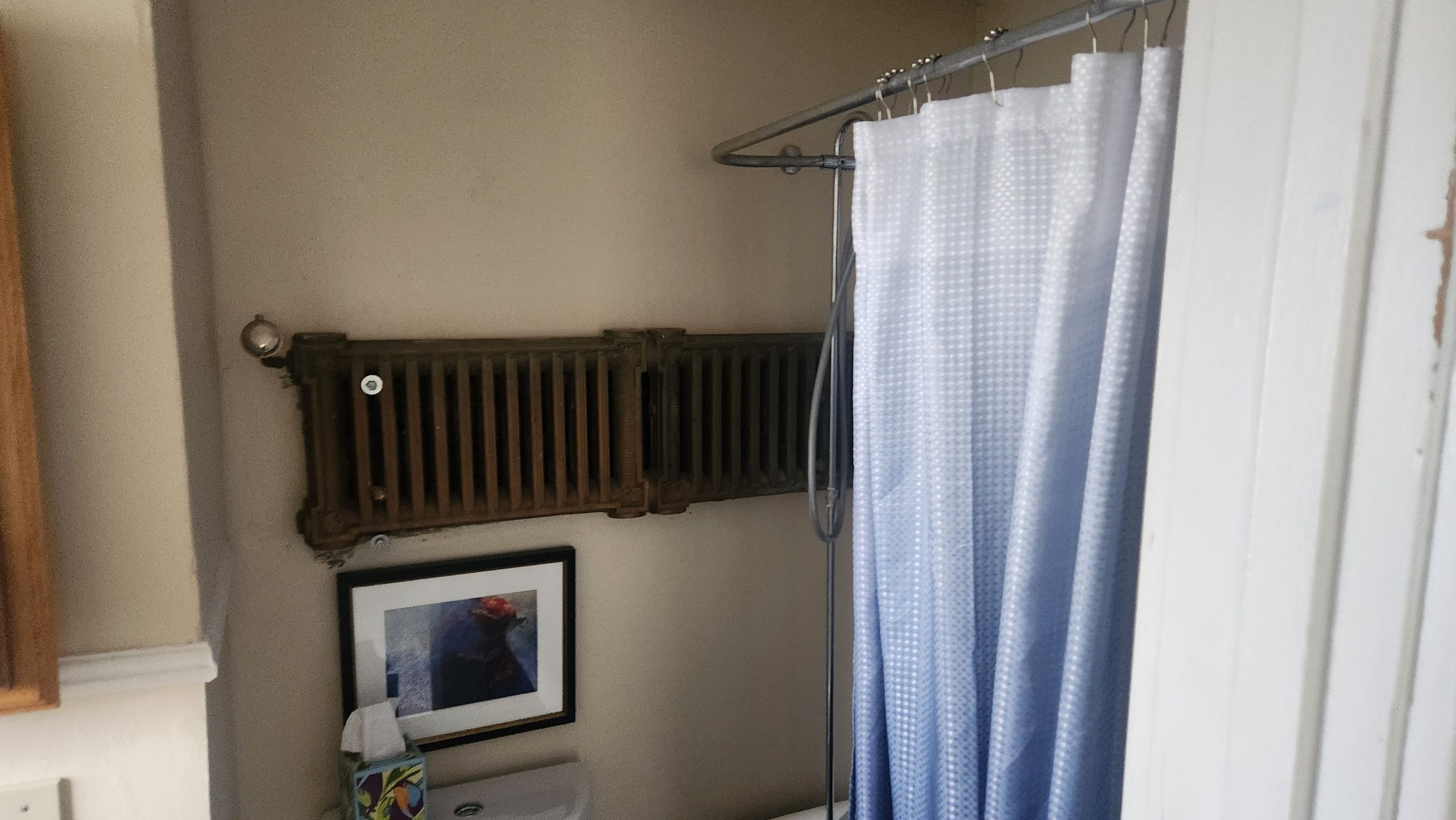 20250605_140739 scaled