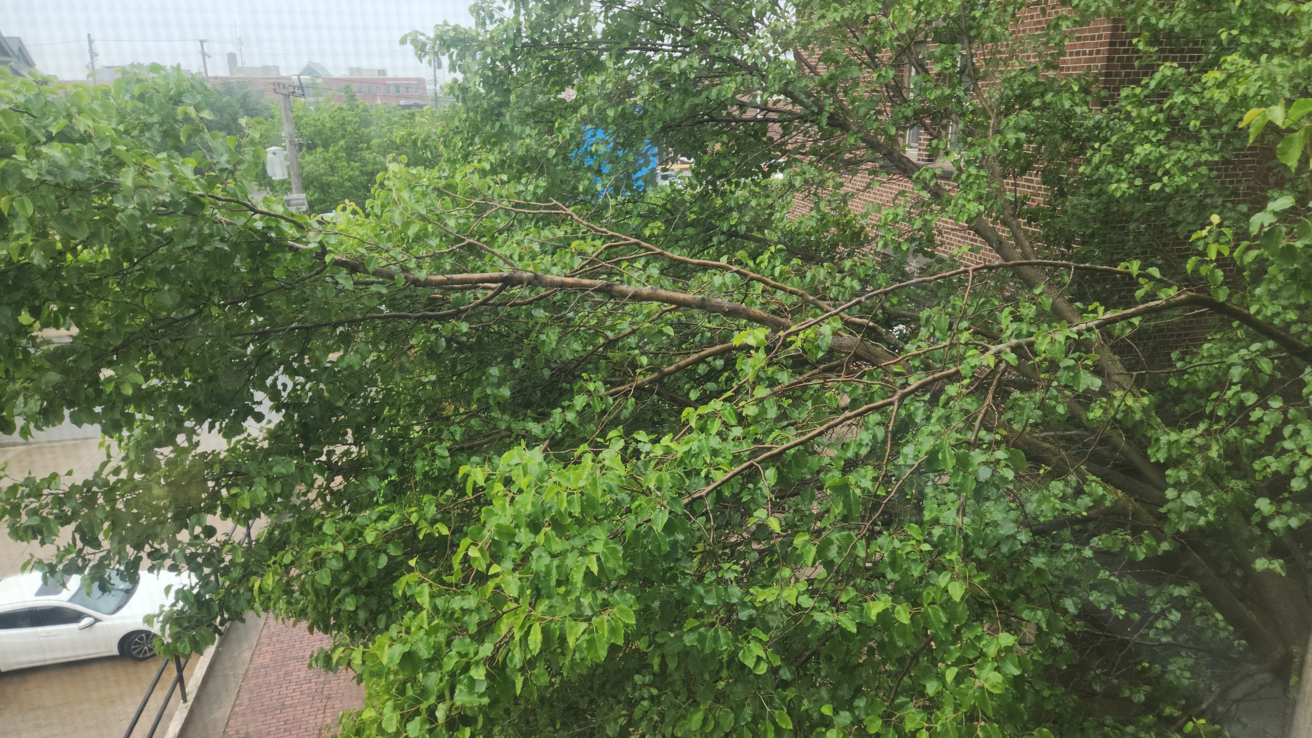 20250605_141925 Copy scaled