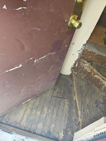 IMG_20250219_130433178_HDR