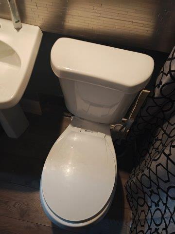 IMG_20250219_130616887_HDR