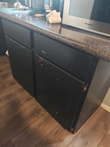 IMG_20250219_130708978_HDR