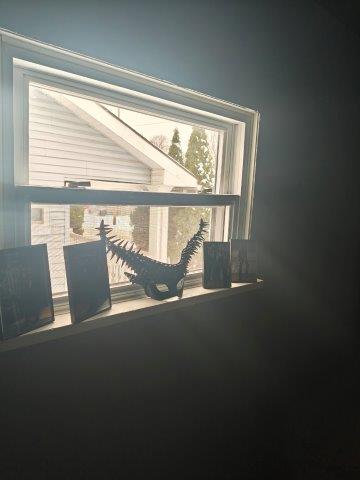 IMG_20250219_130723072_HDR