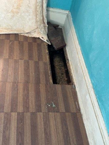 Photo Oct 03 2025 4 29 23 PM 1