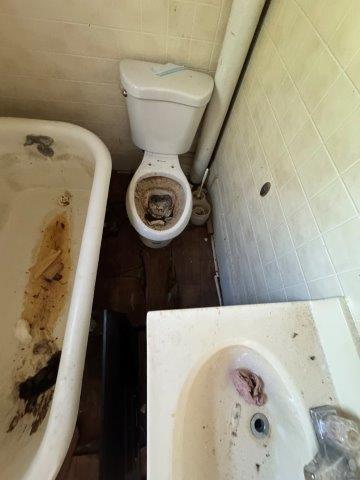 Photo Oct 03 2025 4 30 19 PM 1