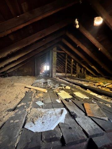 Photo Oct 03 2025 4 30 29 PM 1