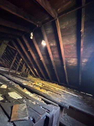 Photo Oct 03 2025 4 30 30 PM 1