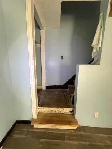 Photo Oct 08 2025 10 04 43 AM