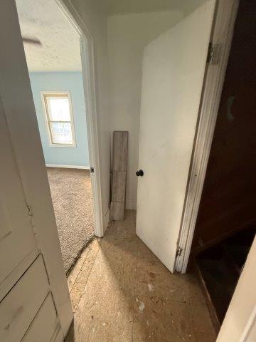 Photo Oct 08 2025 10 05 19 AM