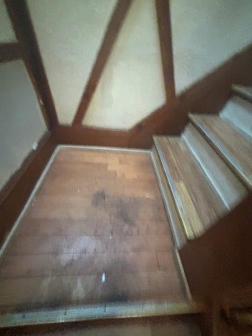 Photo Oct 21 2025 4 50 26 PM