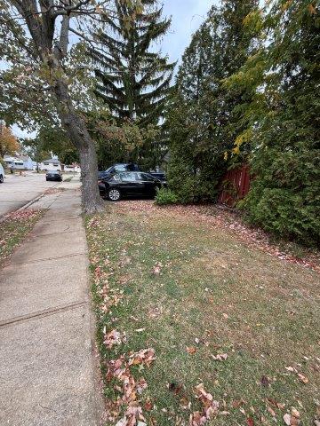 Photo Oct 22 2025 10 07 49 AM