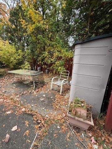 Photo Oct 22 2025 10 08 06 AM