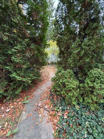 Photo Oct 22 2025 10 09 15 AM