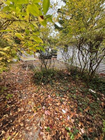 Photo Oct 22 2025 10 09 20 AM