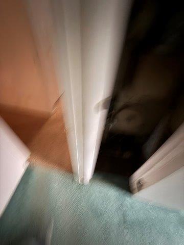 Photo Oct 22 2025 10 13 06 AM