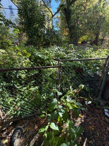 Photo Oct 27 2025 11 13 32 AM