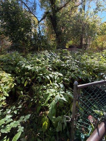 Photo Oct 27 2025 11 13 34 AM