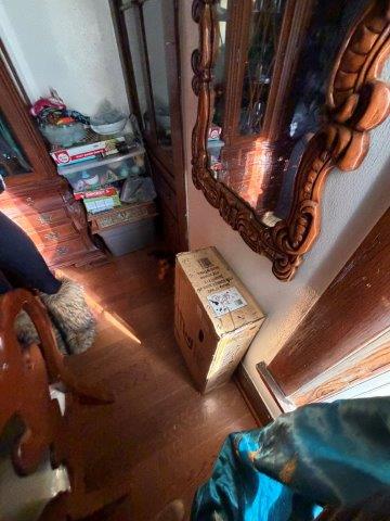 Photo Oct 27 2025 11 21 15 AM