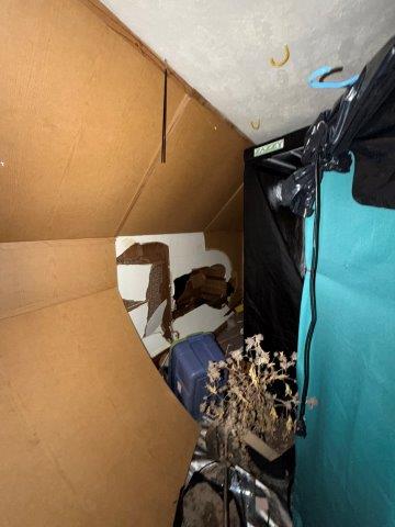 Photo Oct 27 2025 11 28 16 AM