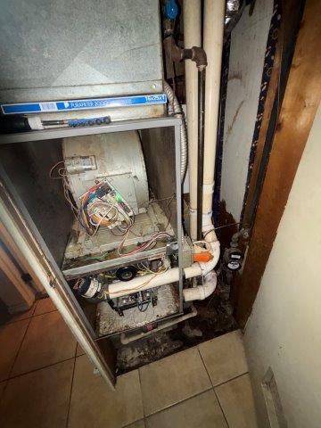 Photo Oct 30 2025 12 14 00 PM