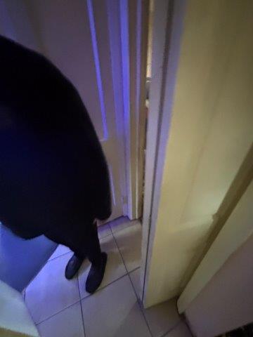 Photo Oct 30 2025 12 14 57 PM