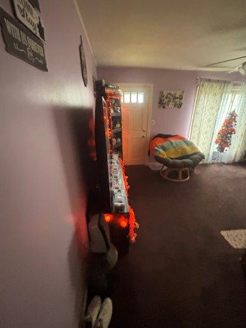 Photo Oct 30 2025 12 15 21 PM