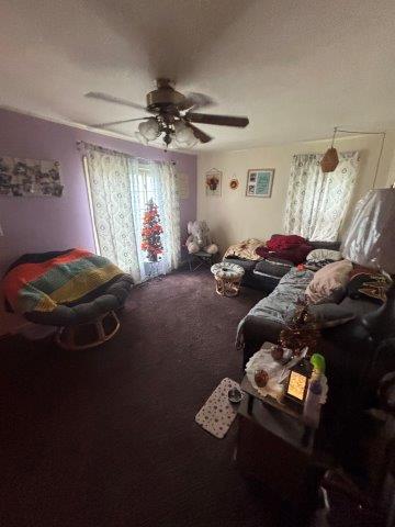 Photo Oct 30 2025 12 15 23 PM