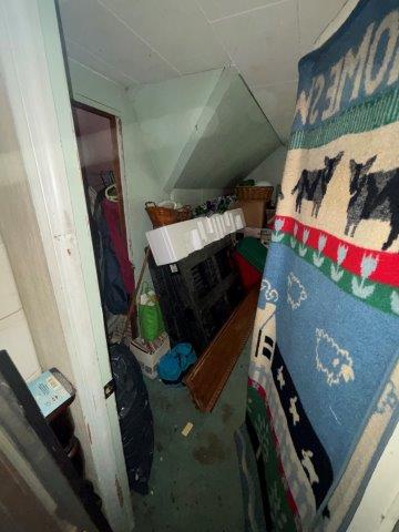 Photo Oct 30 2025 12 17 24 PM