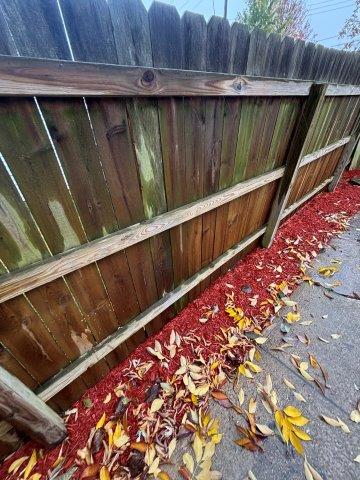 Photo Oct 30 2025 12 19 02 PM