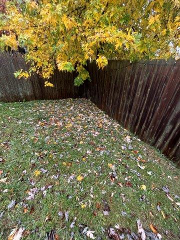 Photo Oct 30 2025 12 19 31 PM