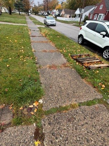 Photo Oct 30 2025 12 21 26 PM